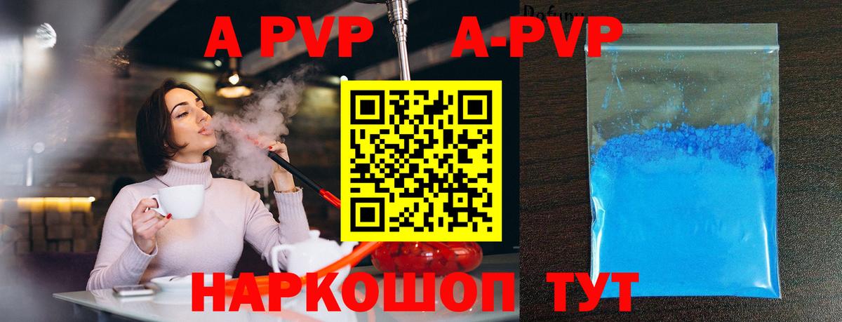 Alfa_PVP СК КРИС Бердск