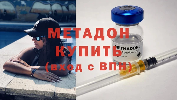 шишки Ельня