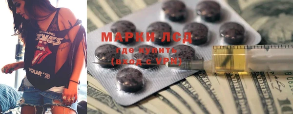 шишки Ельня