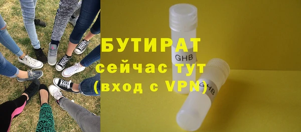 шишки Ельня