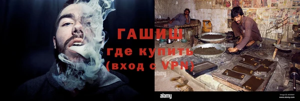 шишки Ельня