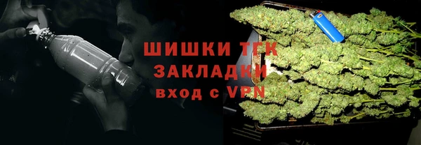 шишки Ельня
