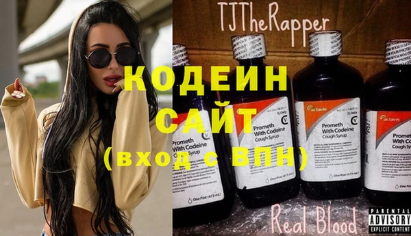 шишки Ельня
