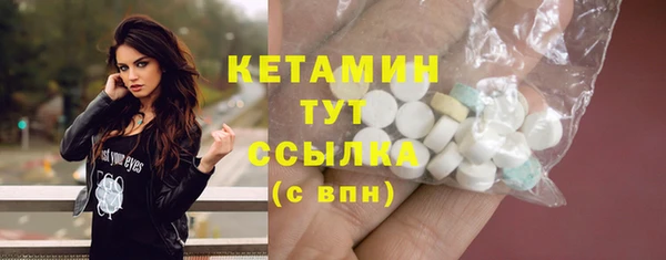 шишки Ельня