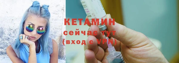 шишки Ельня