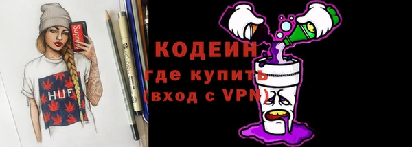 шишки Ельня
