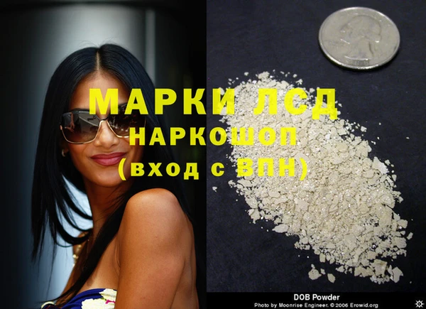 эйфоретик Елизово