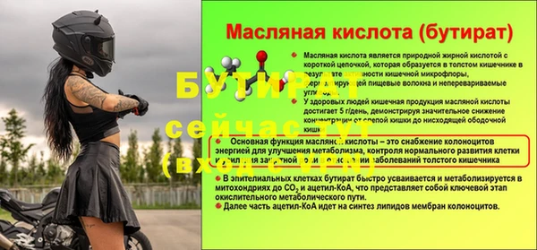 шишки Ельня