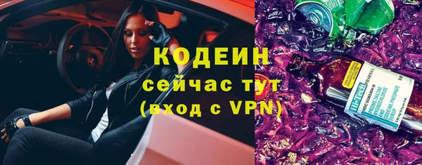шишки Ельня