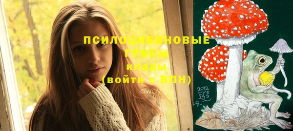 эйфоретик Елизово