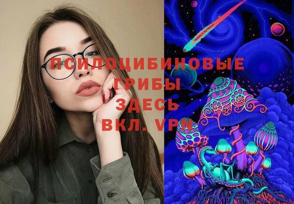 шишки Ельня