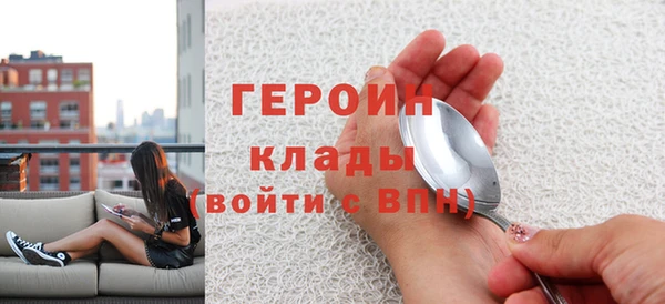 шишки Ельня