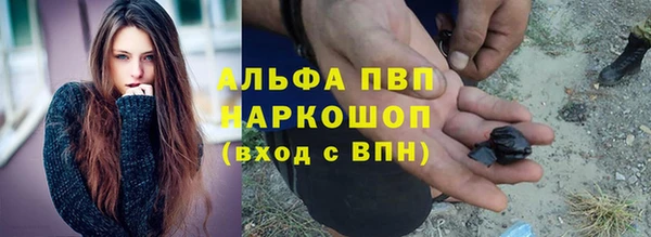 эйфоретик Елизово