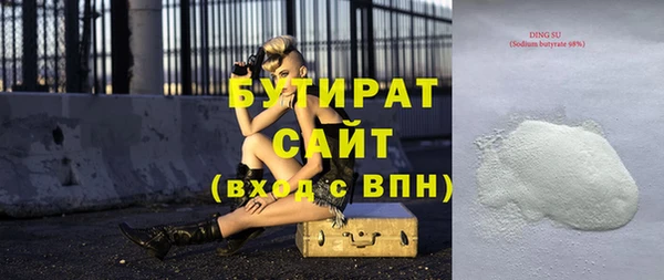 шишки Ельня