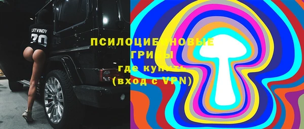 шишки Ельня