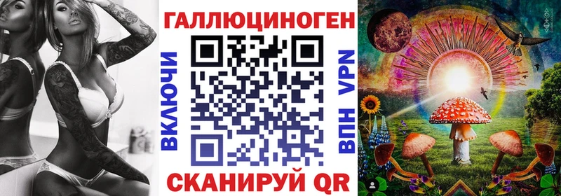 кракен ONION  Бердск  Псилоцибиновые грибы Psilocybe  магазин продажи наркотиков 