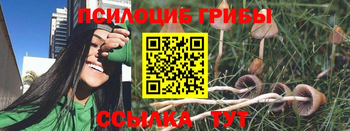 Галлюциногенные грибы Magic Shrooms Бердск